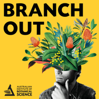 Branch Out podcast