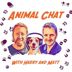 S2 E8 Animal Chat with Dave Neale