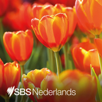 SBS Dutch - SBS Nederlands podcast