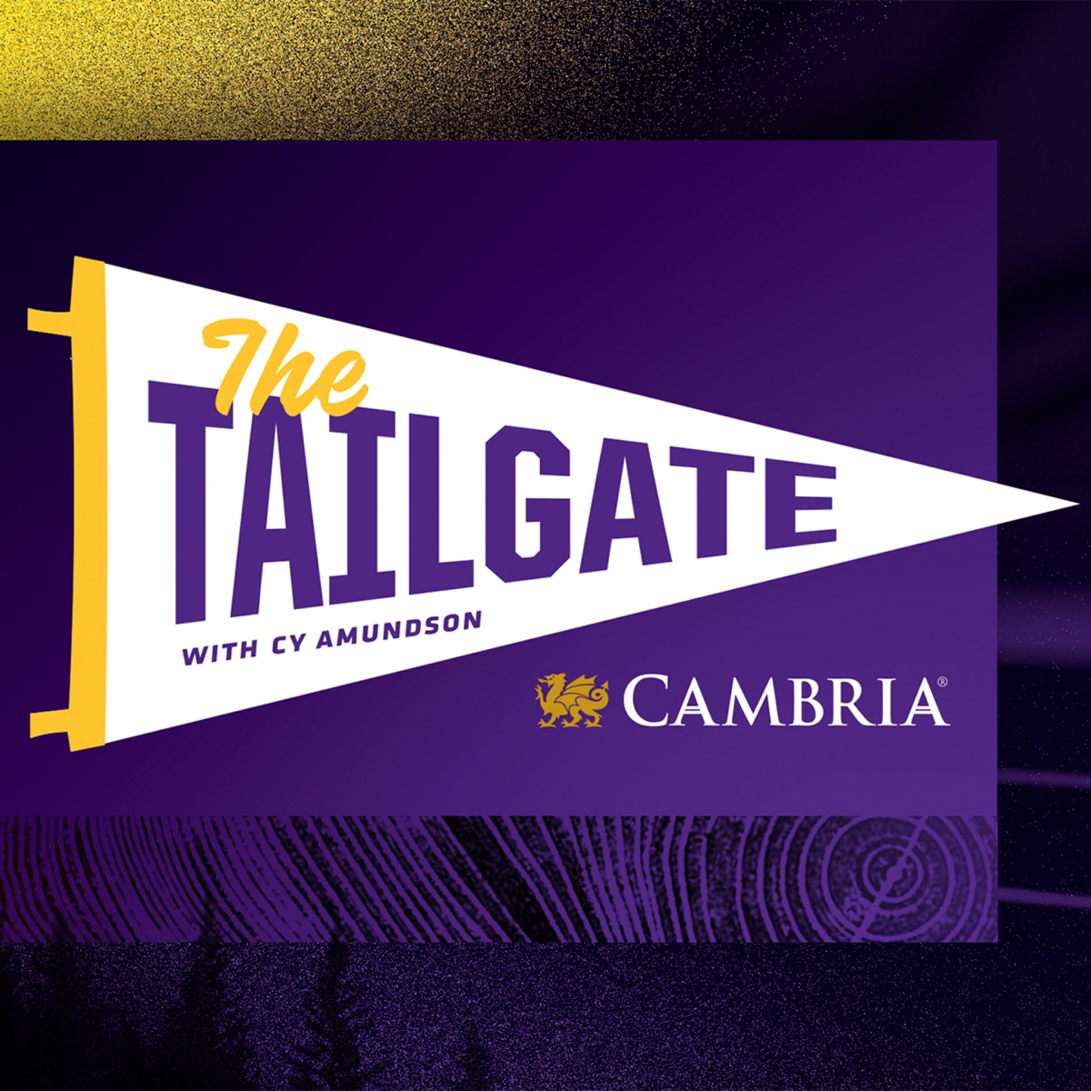 The Vikings Tailgate – Podcast – Podtail