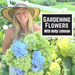 Gardening Flowers With Kelly Lehman