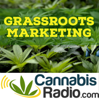 Elise McDonough from High Times