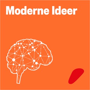 Moderne Ideer