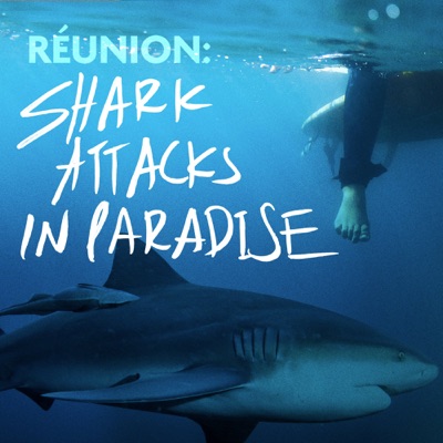 Shark Attacks in Paradise:HyperObject Industries & Little Everywhere
