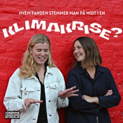 Hvem fanden stemmer man på midt i en klimakrise?