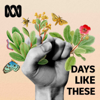 Days Like These - True Stories - ABC listen