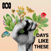 Days Like These - True Stories - ABC Podcasts