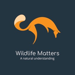 Wildlife Matters The Podcast