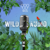 WCS Wild Audio - Wildlife Conservation Society