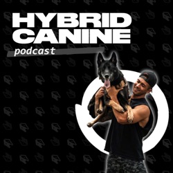 Hybrid Canine Podcast