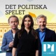 391: Sveriges svar till Putin