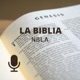 LA BIBLIA NBLA