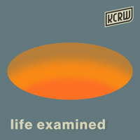 Life Examined podcast
