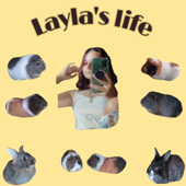 Layla's life - Layla Demirel