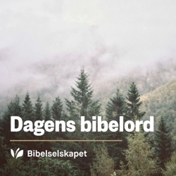 Dagens bibelord fra bibel.no