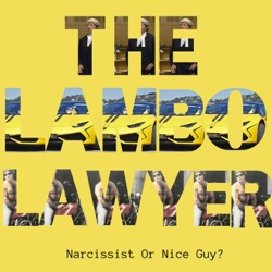 Lavac The Pro Bono Lawyer