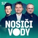 Nosiči ledu 7: Mistři bez ledu. Kapitoly z hokejového pravěku