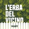 L'erba del vicino