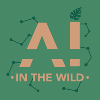 AI in the Wild podcast