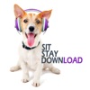 Sit Stay Download artwork