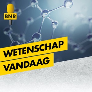Empathie voorspelt de agressie van een kind