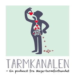 Tarmkanalen