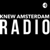 Knew Amsterdam Radio w/ Flobo Boyce artwork
