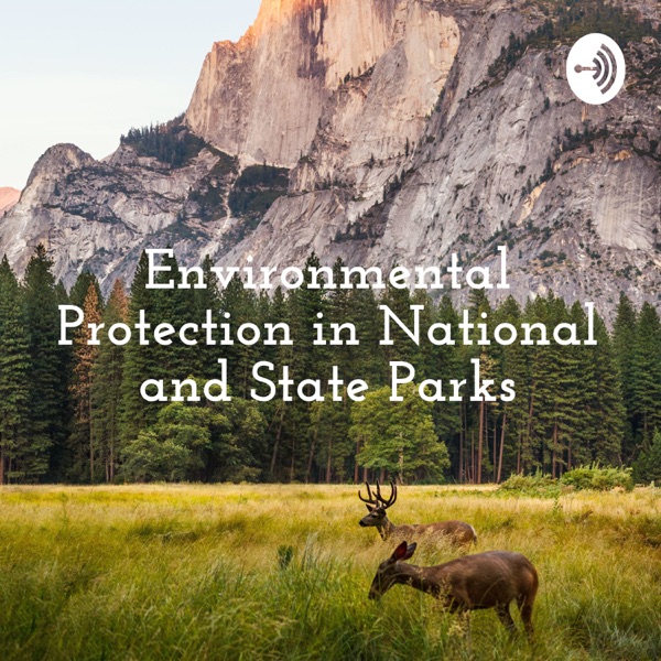 Environmental Protection in National and State Parks Artwork