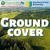 Ground Cover artwork