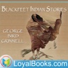 Blackfeet Indian Stories by George B. Grinnell artwork