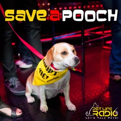 Save A Pooch - Episode 46 Caring For Disabled Dogs