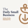 Sealevel Insights // The Daily Small Business artwork