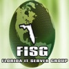 Florida IT Server Group artwork