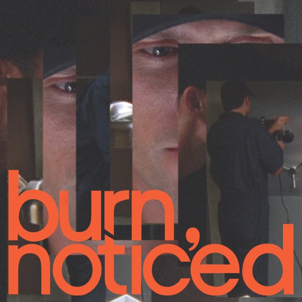 Burn, Noticed Artwork