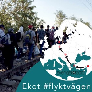 Tema 2015: Flyktvägen