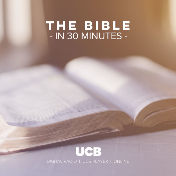 The Bible in 30 minutes (audio)