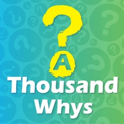 A Thousand Whys
