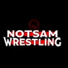 Notsam Wrestling artwork