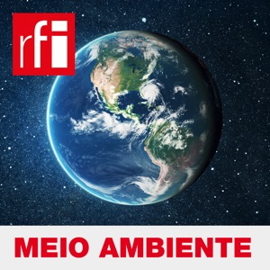 Meio Ambiente - ONGs ocupam lacuna deixada por governo brasileiro na COP 25