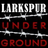Larkspur Underground artwork