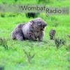 Wombat Radio artwork