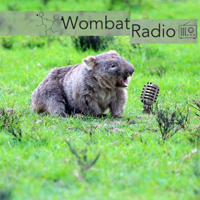 Wombat Radio Podcast with choreographers interrogating artistic process.