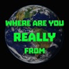 Where Are You REALLY From artwork