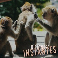 Distantes Instantes