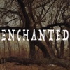 Enchanted: The History of Magic & Witchcraft artwork
