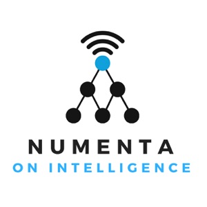 Episode 14: Interview with Florian Fiebig on Hebbian Learning Networks