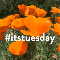 #itstuesday podcast