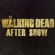 The Walking Dead Review and After Show