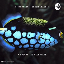 Nicolas Bailly - FishBase and SeaLifeBase Anniversary Podcast