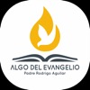 Algo del Evangelio - Padre Rodrigo Aguilar